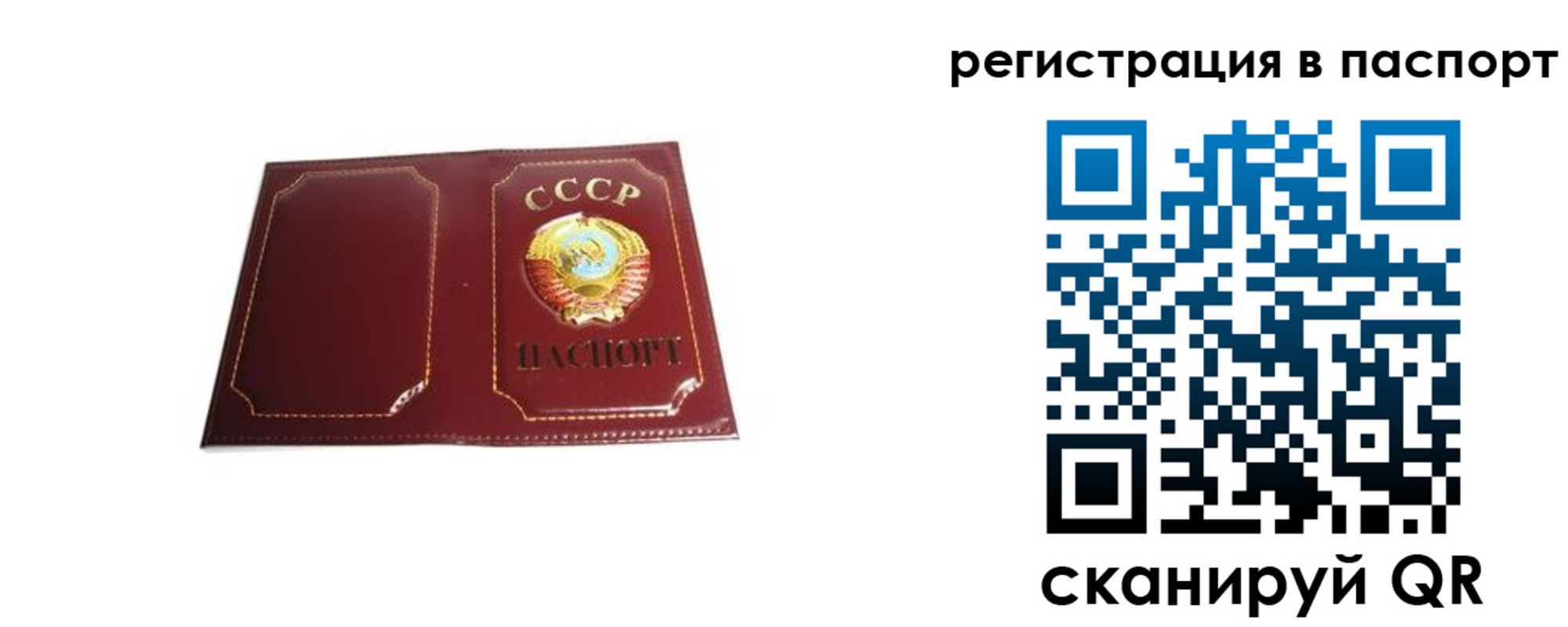 прописка 2025 в Чудово